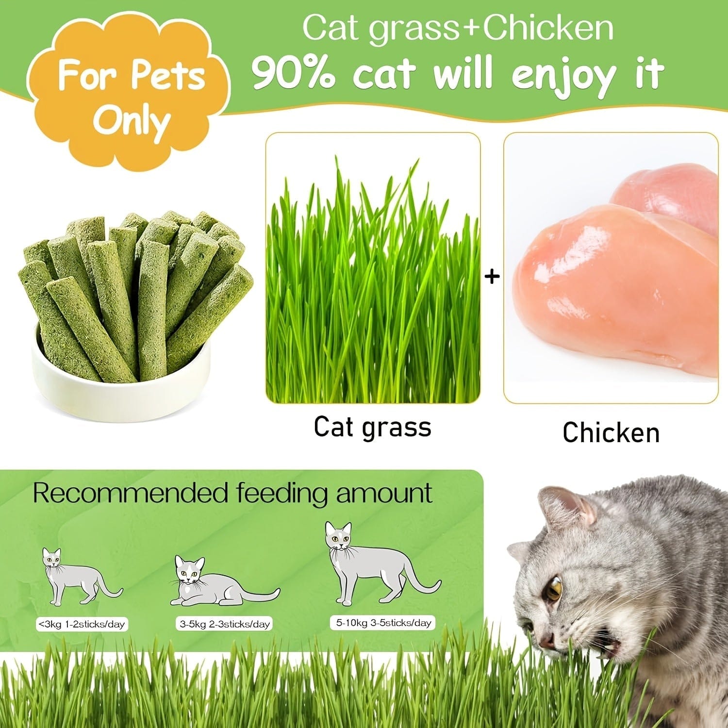 Cat Grass Chew Sticks — Natural Chewing Support for Cats