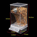 Automatic Gravity Bird Feeder – Clean, Dry & Always Available