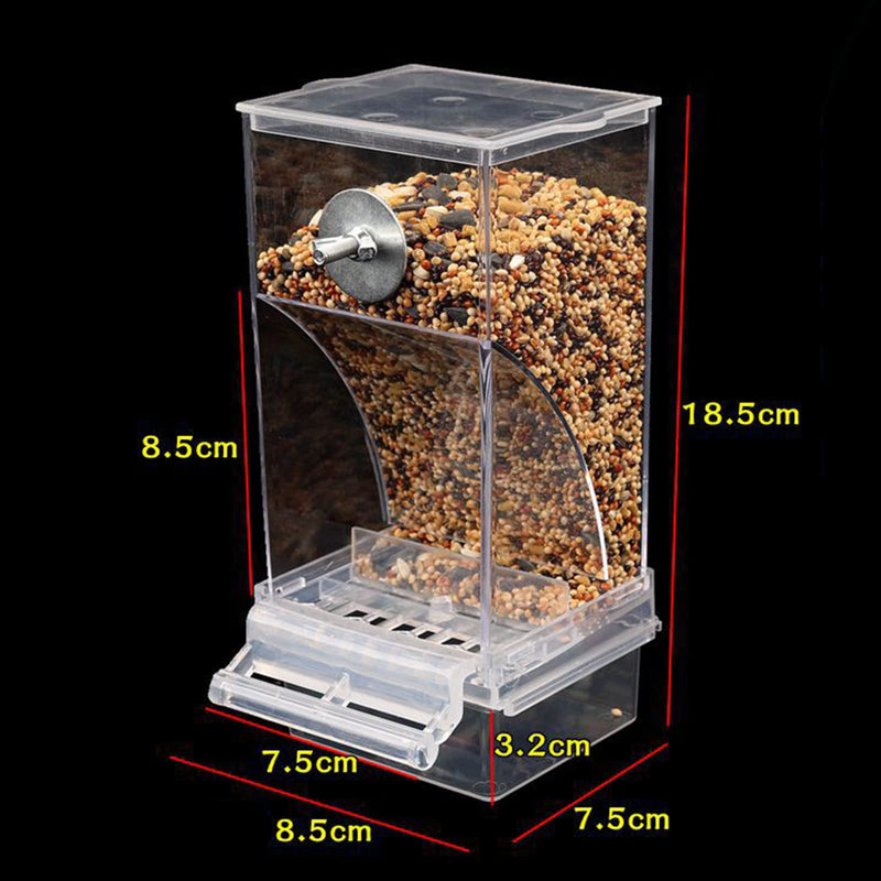 Automatic Bird Feeder – Clean, Easy & Built to Last