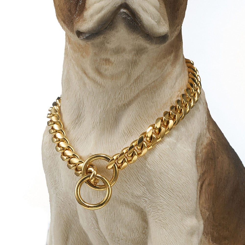 Gold chain dog collar with premium metal links shown flat on surface