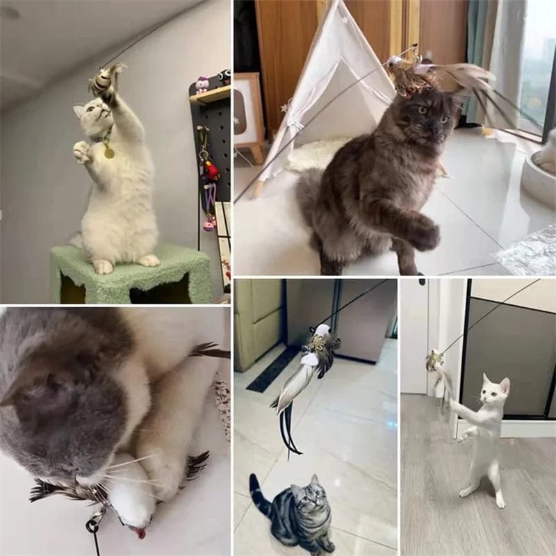 Cat Wand Toy Set – Interactive Feather and Bell Teaser Toys for Cats