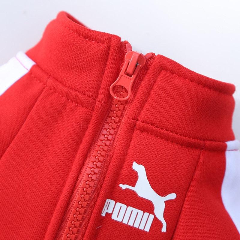Stylish Pet Jacket – Pomii Jackets Line | Comfort & Warmth
