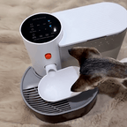 Smart Pet Water Fountain — Dual Tank Wireless Hydration System