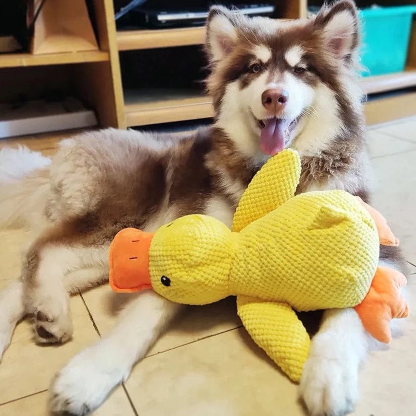 Calming Duck Dog Toy – Quack & Comfort Fun
