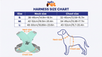 No-Pull Dog Harness & Leash Set — Padded Comfort for Daily Walks