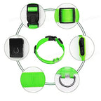LED Pet Collar — High-Visibility Night Safety for Dogs and Cats