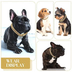 Cuban Chain Style Pet Collar — Bold Fashion Design for Dogs and Cats
