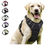 No-Pull Dog Harness — Comfortable Control and Stress-Free Walks