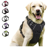 No-Pull Dog Harness — Comfortable Control and Stress-Free Walks
