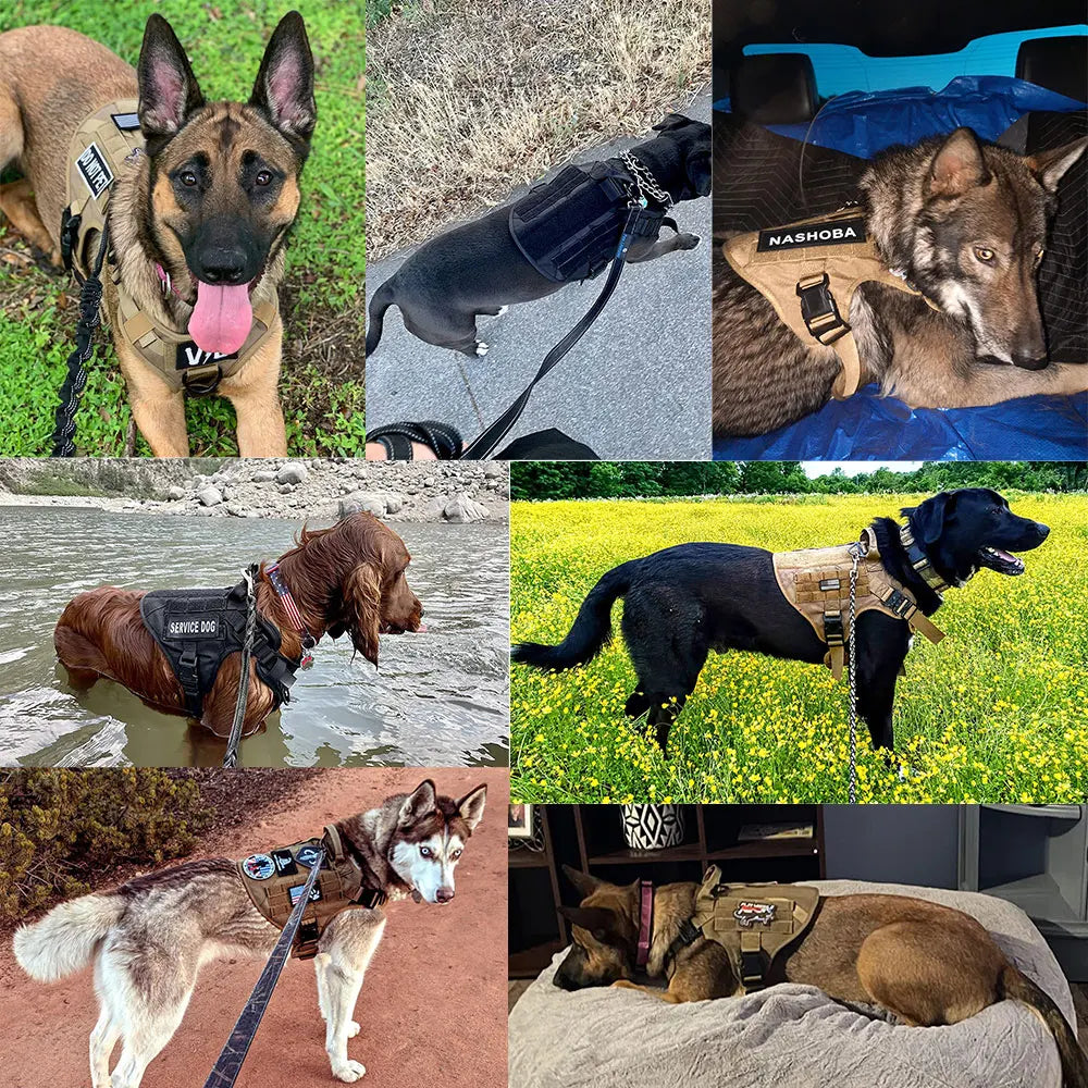 Tactical Military Dog Harness — Heavy-Duty Control with Reinforced Handle