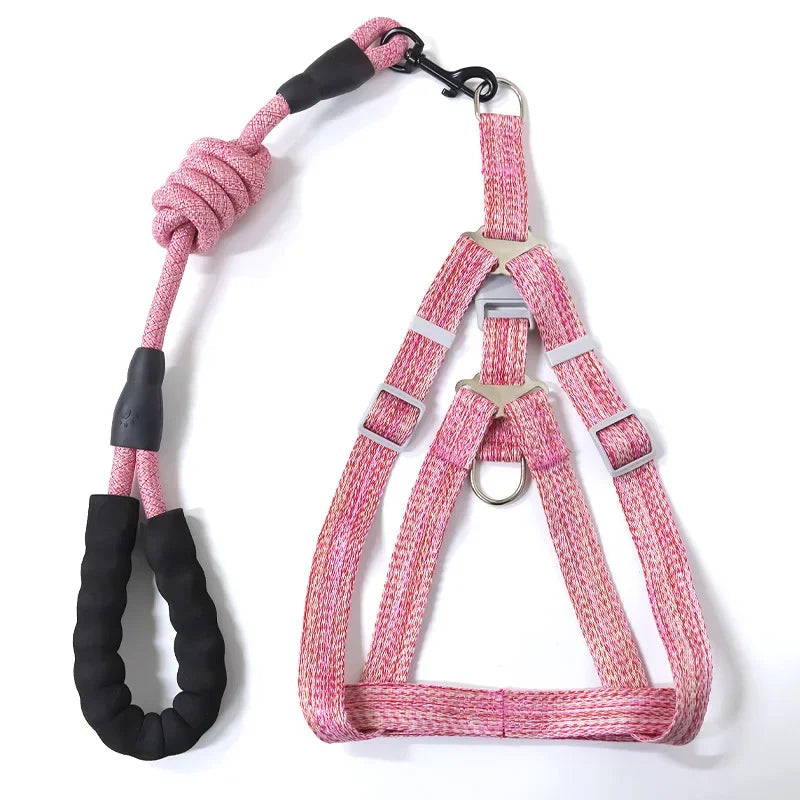 Adjustable Dog Harness and 1.5m Leash Set — Complete Walk-Ready Kit