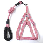 Adjustable Dog Harness and 1.5m Leash Set — Complete Walk-Ready Kit