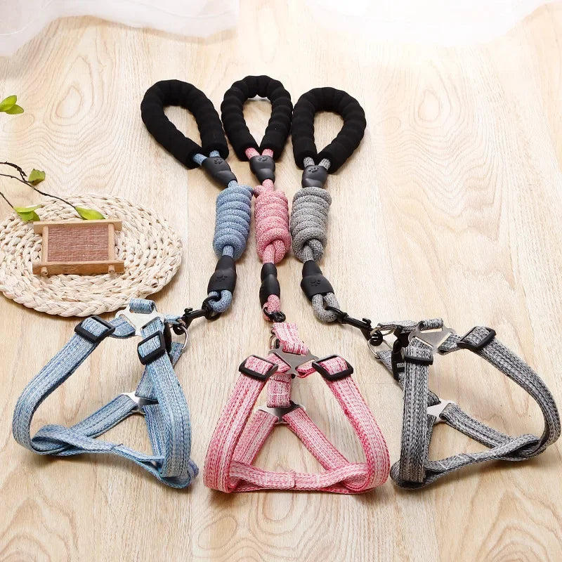 Adjustable Dog Harness and 1.5m Leash Set — Complete Walk-Ready Kit