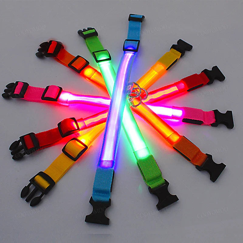 LED Pet Collar — High-Visibility Night Safety for Dogs and Cats