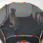 Cat Tunnel Tent — Foldable Hideout with Tunnel for Play and Rest
