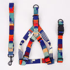 Printed Dog Harness and Leash Set — Adjustable, Colorful, Walk-Ready Kit