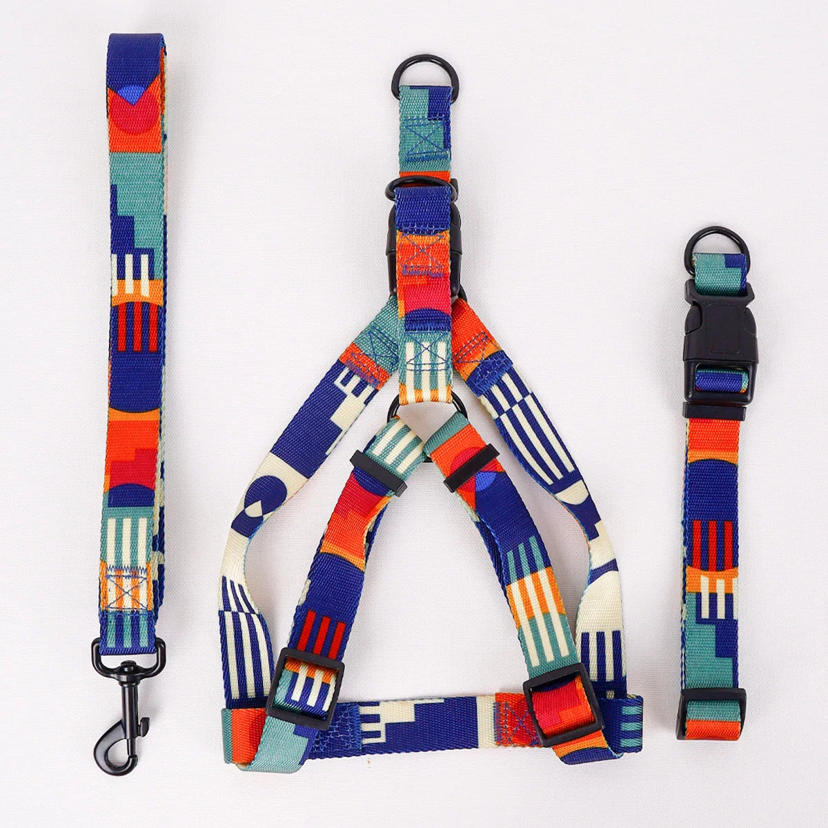 Printed Dog Harness and Leash Set — Adjustable, Colorful, Walk-Ready Kit