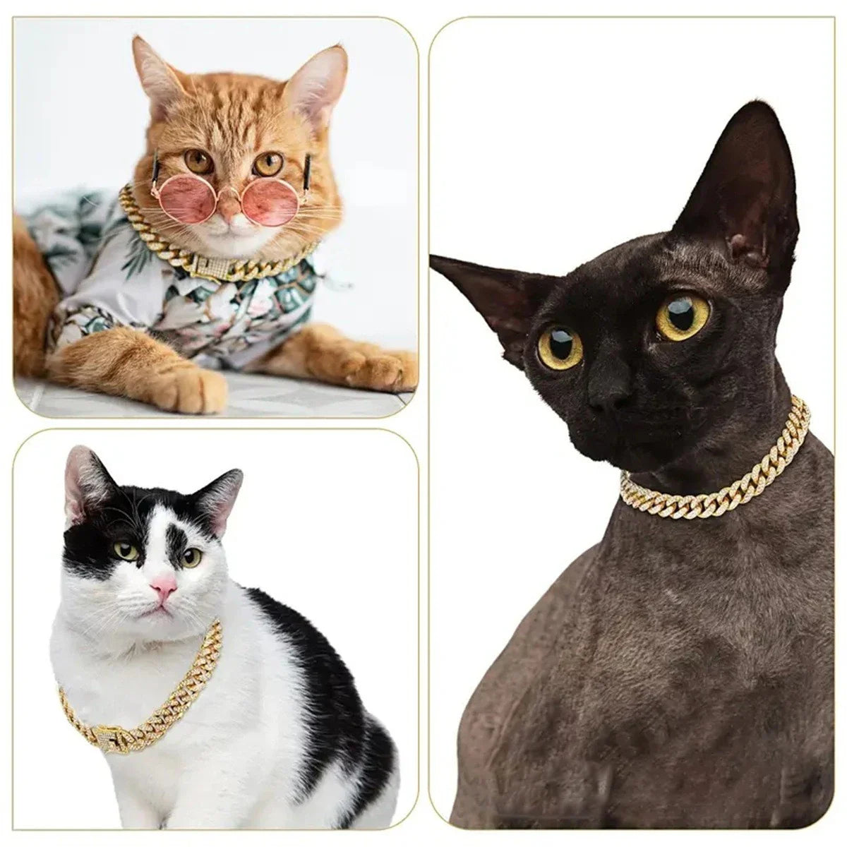 Cuban Chain Style Pet Collar — Bold Fashion Design for Dogs and Cats