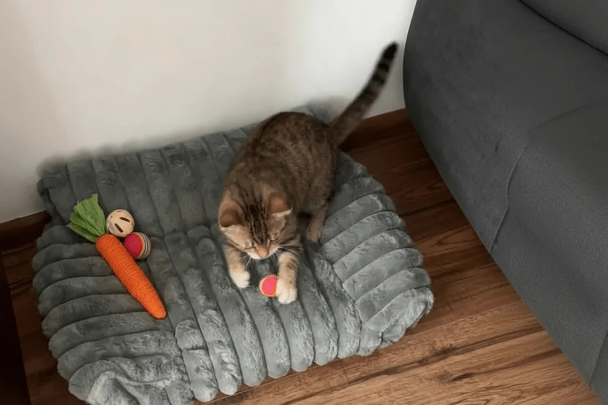 Pet Sofa Bed — Striped, Comfortable Lounger for Dogs and Cats
