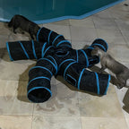 Interactive Cat Tunnel — Indoor Playground That Relieves Boredom and Stress