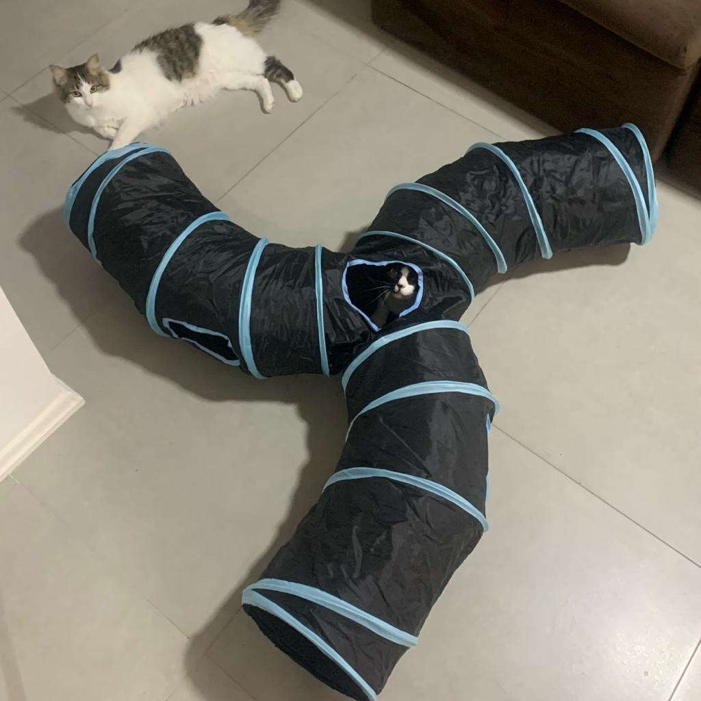 Interactive Cat Tunnel — Indoor Playground That Relieves Boredom and Stress