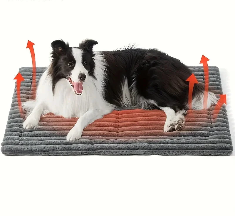 Dog Mat Bed — Comfortable, Washable and Flat for Stretched-Out Sleepers