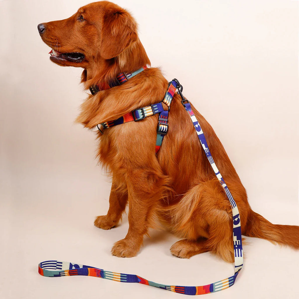 Printed Dog Harness and Leash Set — Adjustable, Colorful, Walk-Ready Kit