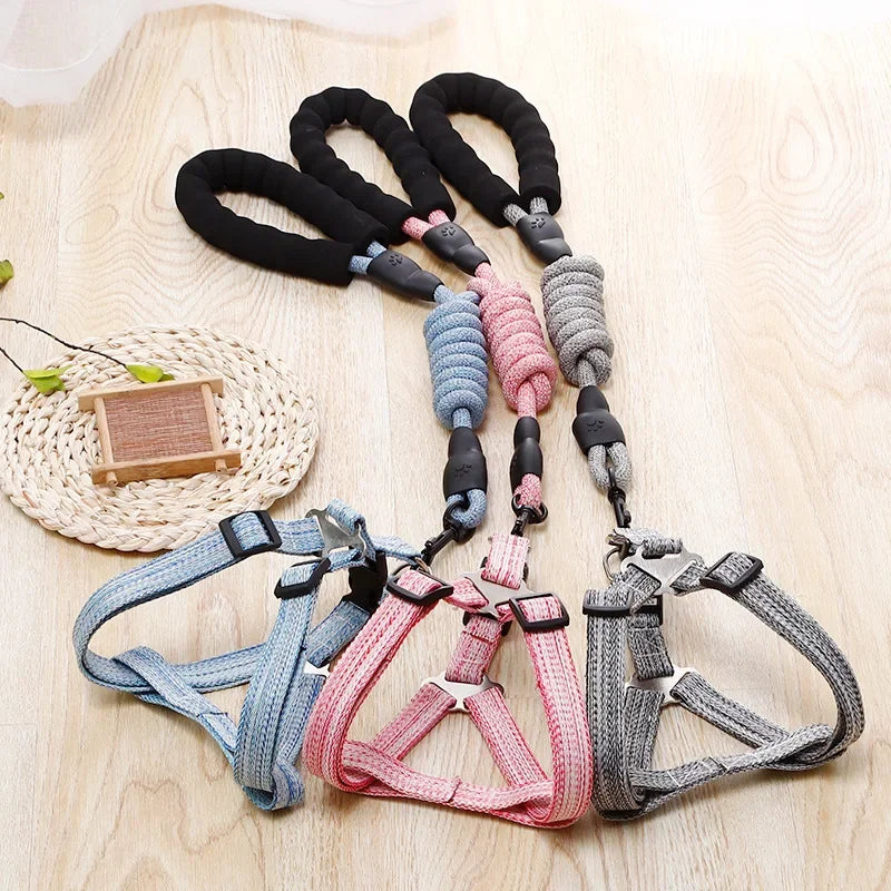 Adjustable Dog Harness and 1.5m Leash Set — Complete Walk-Ready Kit