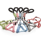 Adjustable Dog Harness and 1.5m Leash Set — Complete Walk-Ready Kit