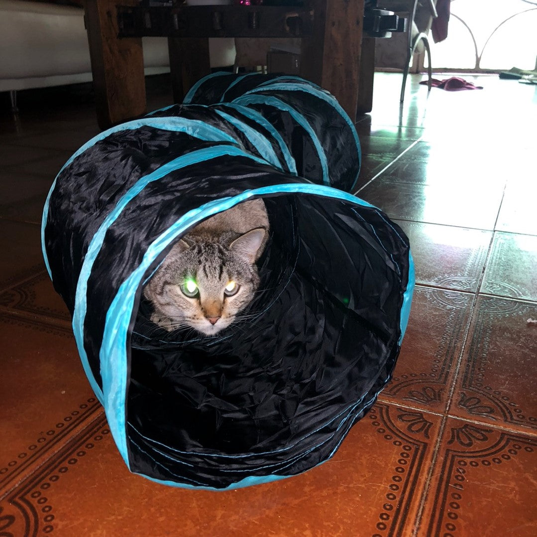 Interactive Cat Tunnel — Indoor Playground That Relieves Boredom and Stress