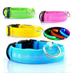 LED Pet Collar — High-Visibility Night Safety for Dogs and Cats