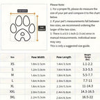 Dog boots protecting paws while walking on wet pavement