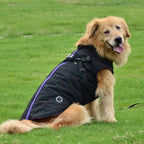 2-in-1 Puffer Vest with Integrated Harness