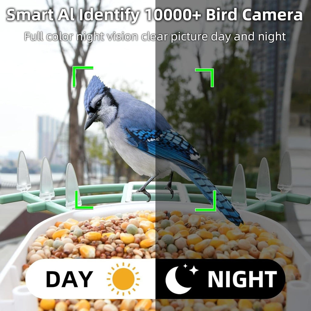 Hasuber Smart Bird Feeder with Camera – AI, Real-Time Alerts & Solar Powered