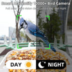 Hasuber Smart Bird Feeder with Camera – AI, Real-Time Alerts & Solar Powered