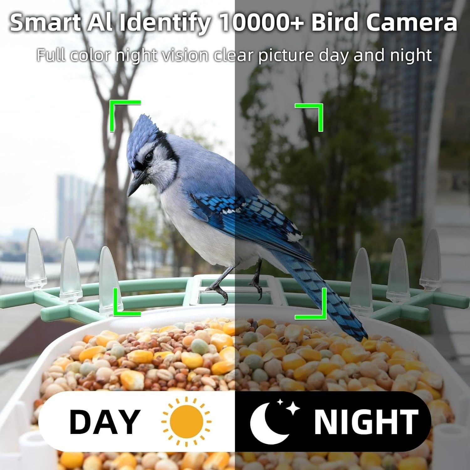 Hasuber Smart Bird Feeder with Camera – AI, Real-Time Alerts & Solar Powered