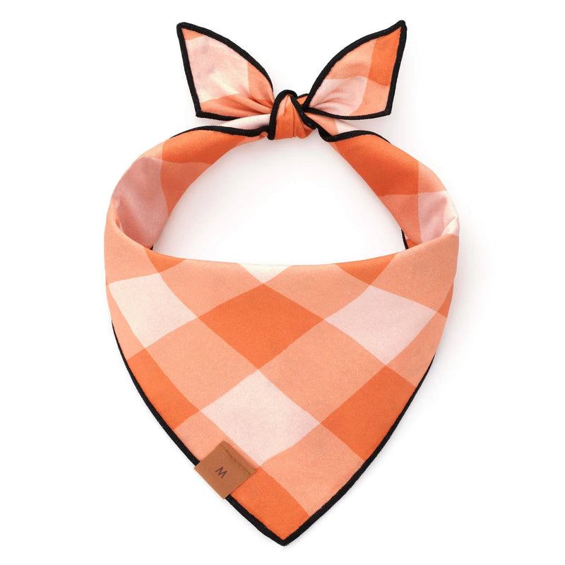 Spooky Season Reversible Dog Bandana – Two Styles in One