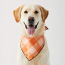 Spooky Season Reversible Dog Bandana – Two Styles in One