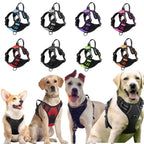 No-Pull Dog Harness — Comfortable Control and Stress-Free Walks