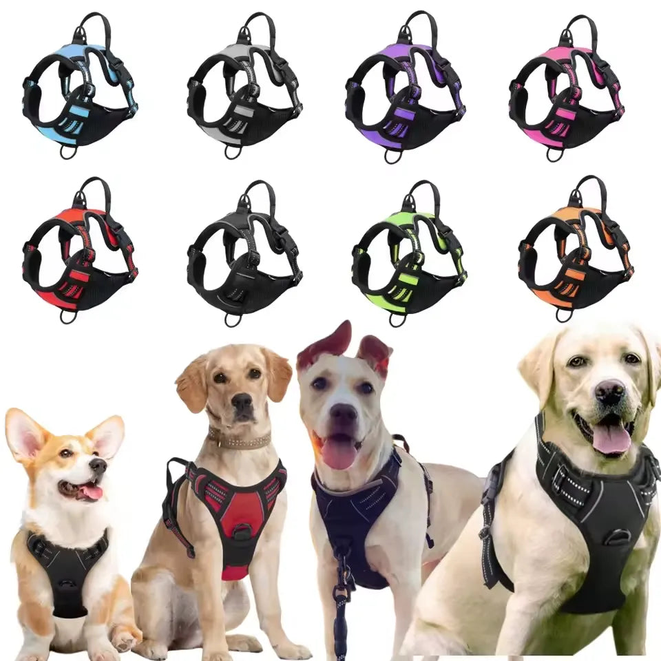 No-Pull Dog Harness — Comfortable Control and Stress-Free Walks