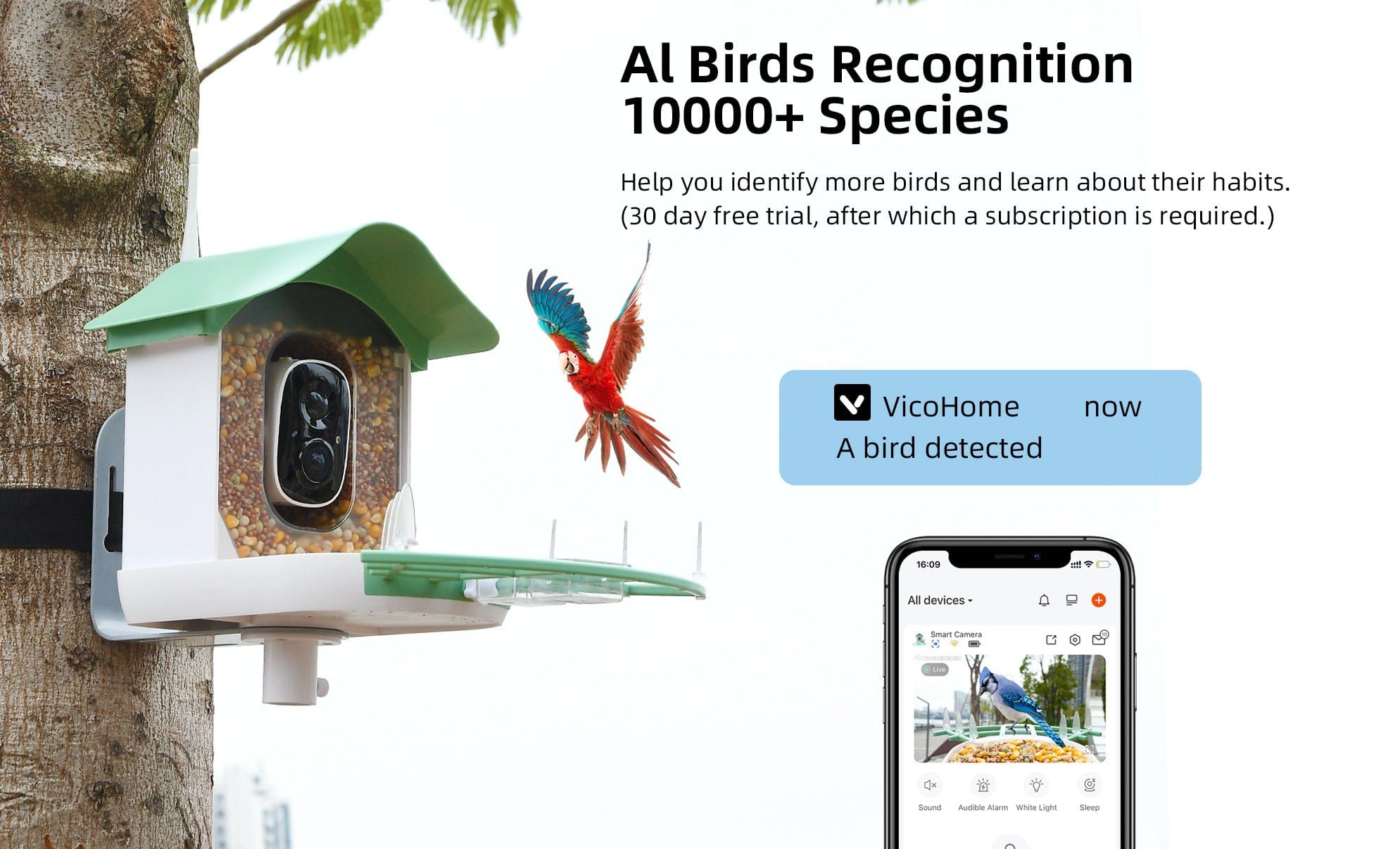 Hasuber Smart Bird Feeder with Camera – AI, Real-Time Alerts & Solar Powered