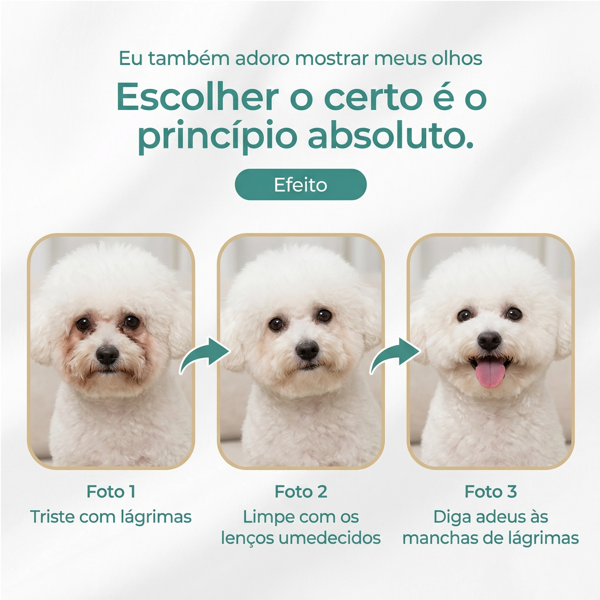 Pet Eye Cleaning Wipes — Gentle Daily Eye Hygiene for Dogs and Cats