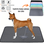 Washable Reusable Pet Training Pad — Eco-Friendly Alternative to Disposables